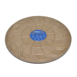 Plateau d'équilibre Balance Board
